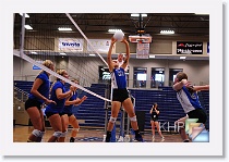 vs Gardner * (295 Slides)